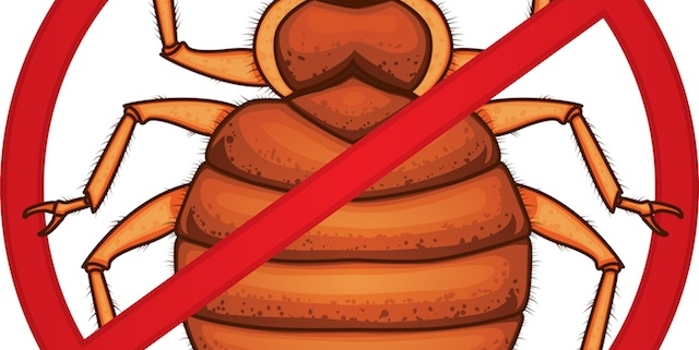no bed bugs sign.