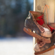 ICE SKATES