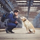 Man Training Dog