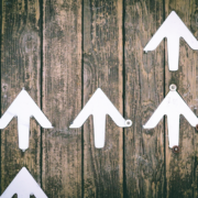 Arrows Pointing Up